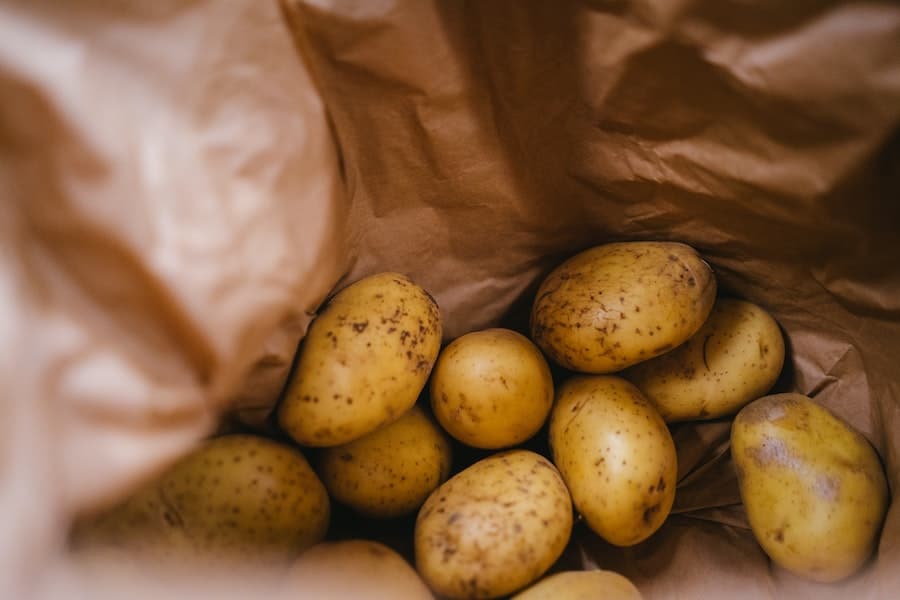 ¿Qué patatas para gratinar dauphinois?